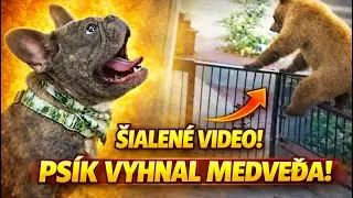 Ľudia tomu neveria, ale kamera to zachytila