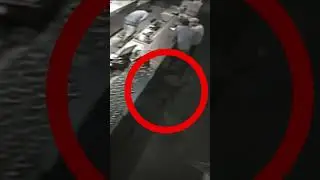 Horrifying Humanoid Creatures Caught on Camera 💀👾