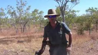 Gold Prospecting: 6 Days in the North Queensland Goldfields: Garrett AT Gold.