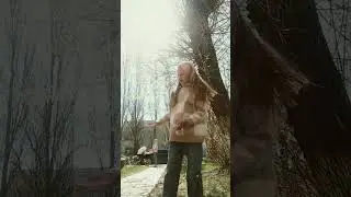 8 мая 2024 г.