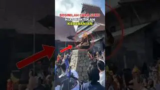 Tradisi Lompat Batu Suku Nias yang Mendunia #shorts
