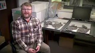 This Week In History - Season 11 Episode 22: New Turtle Species