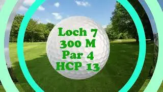 1.  Neun Hummelbachaue im Flug 4K