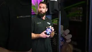 L-Citrulline Vs Citrulline Malate