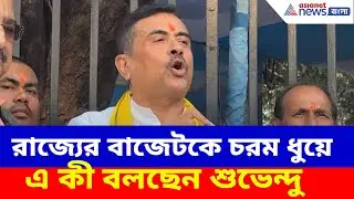 Suvendu Adhikari: রাজ্যের বাজেটকে চরম ধুয়ে দিয়ে এ কী বলছেন শুভেন্দু অধিকারী, দেখুন