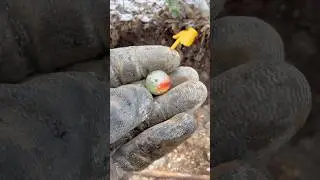 Unearthed Jackpot of OLD AMAZING Finds - Archaeology Digging Canada 🔥 #shorts #vintage #history