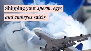How to Ship your Sperm, Eggs and Embryos | Fertility Journey