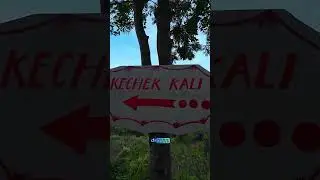 kechek kali di ALAS SUKO Trawas #camping #campingfamily #campingground #campingvlog