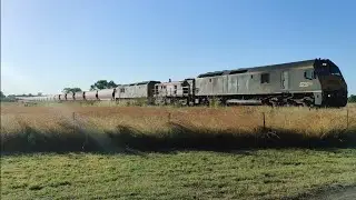 SSR RL304 48s34 (4815) RL305 empty grain train captured at Tibberena just outside Narrabri 2/1/2023