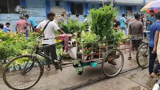 Galiff street plants market. Biggest Flower plants market in thalahat summer & rainy season plants.