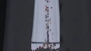 8 Aralık 2025