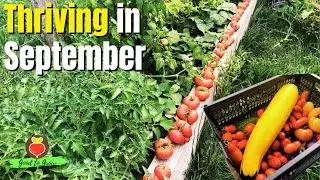 Journey Through Our September Wisconsin Garden | Zone 5 Gardening