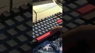 Budget Keyboard, Premium Sound?