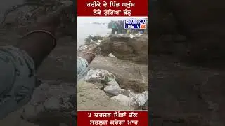 ਤਰਨ ਤਾਰਨ 'ਚ ਆ ਰਹੀ Flood ਦੀ ਆਫ਼ਤ..! #punjabfloods #flood #chardiklatimetv