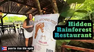 Tapas Bar in the Rainforest | Puerto Rico Life EP46