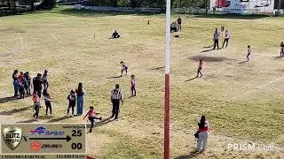 Bufalos vs Jaguares SEMIFINALES MFL FLAG 2DA MITAD
