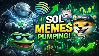 Solana Meme Coins: The Only Thing Pumping in the Bear? 📱