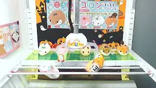 Coroham Coron Chipmunk Plush win on Toreba!!