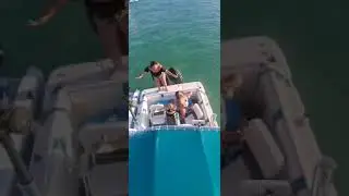 Viti se desboc&oacute; jajaja
