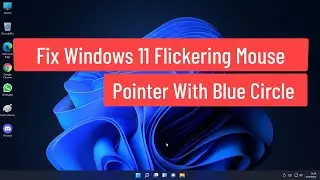 Fix Windows 11 Flickering Mouse Pointer With Blue Circle (HP Computers)