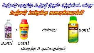 Herbicides used in turmeric crops | Turmeric Herbicide | Turmeric Herbicides | Vivasayam