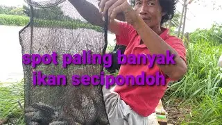 rute 3 spot mancing ikan mujaer nila, kali banjar , spot PDAM banjar wijaya