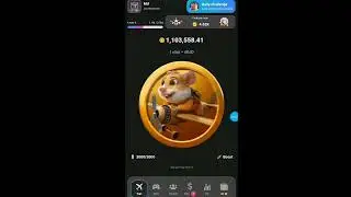 hamsta pilot  | hamsta pilot daily combination | hamsta pilot daily challenge update news
