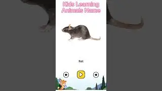Kids Learning Animal Names #animalsname #kidslearning #kidslearn
