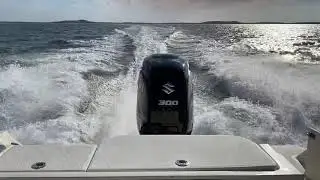 New 300 Suzuki
