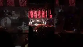 Green Day 5 February 2017