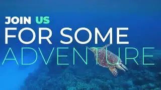 Explore Biscayne National Park - Best Snorkeling In Miami!
