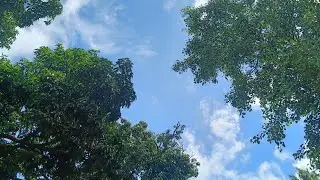 || Road trip || dang forest mini vlog ||Nature shoot ||