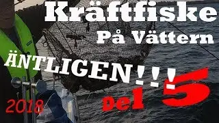 TUSENTALS KRÄFTOR OCH BLODVITE, kräftfiske tredje helgen del 5