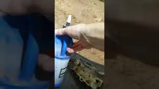 Brute Force 300 Rear Gear Fluid Change
