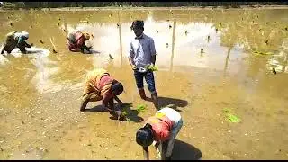 farming2021