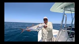 OFFSHORE MUNCH! First self-guided off shore trip! Unconventional fishing methods! (CLEAN and COOK)