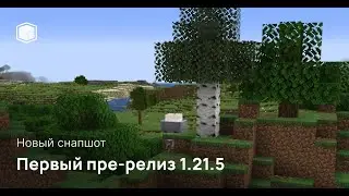Майнкрафт 1.21.5 - Обновление! PRE-RELEASE 1