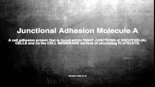 Medical vocabulary: What does Junctional Adhesion Molecule A mean