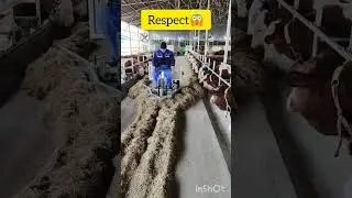 amazing respect video 20 #youtubeshorts #tiktok #shorts #youtubeshorts #tiktok #shorts