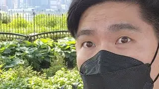 갑자기?! 써든리! 우중충한 날씨 날려버리기!