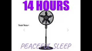 Lasko Pedestal Fan 14 HOURS *NEW* 