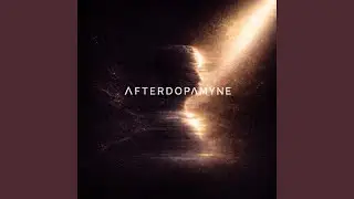 Λ F D N