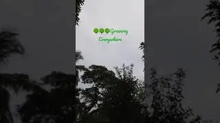 Greenery Everywhere🌳🌳🌳🌳
