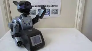 A Look at the Aibo Energy Station