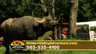 Hidden Valley Animal Adventure