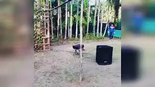 Camping at Kelwa Beach