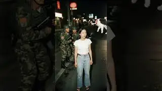 cat jump to save lady from group of men