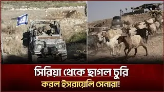 সিরিয়া থেকে ছাগল চুরি করল ইসরায়েলি সেনারা! | Face The People