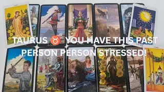 TAURUS: THIS PAST PERSON IS SO STRESSED WHEN THEY LOOK AT YOU NOW, THEY WANT IN.