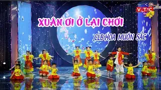 XUÂN ƠI Ở LẠI CHƠI - CLB Hoa Muôn Sắc - VTC 2023